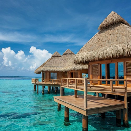 Hotels and Resorts Hotels and Resorts
