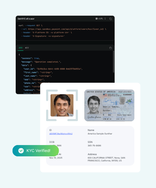 Digital Financial Reports Displayed on a Laptop Screen in an Office