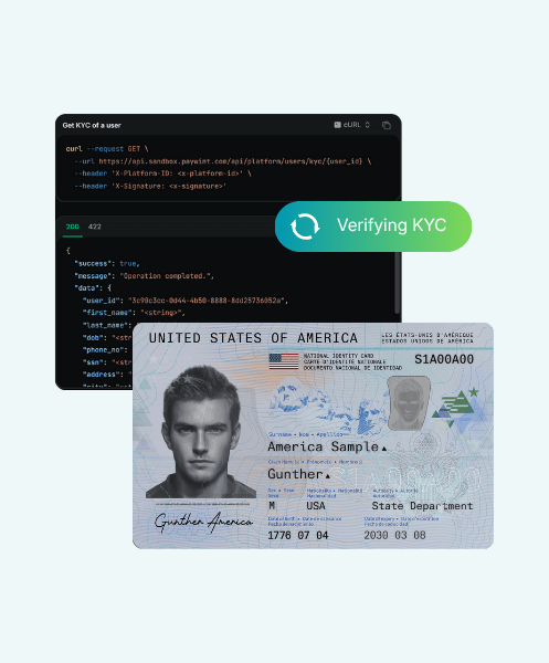 Businessman Analyzing Expenses on a Spreadsheet Using a Laptop