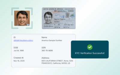 Evolving Financial Crimes in Online Payments And The Need for Dynamic KYC Solutions