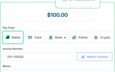 Online Payment Systems