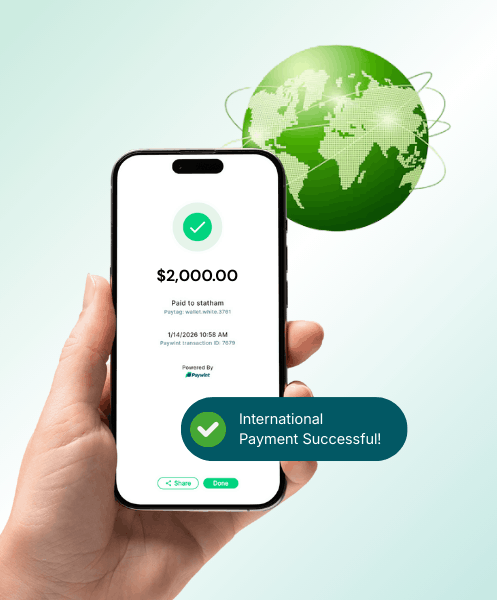 Businessman Analyzing Expenses on a Spreadsheet Using a Laptop