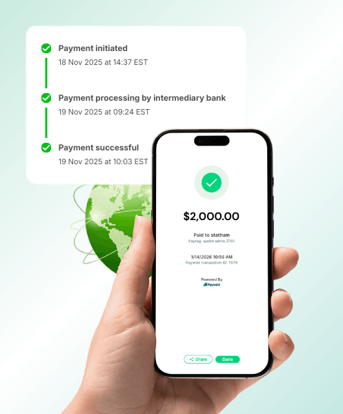 Businessman Analyzing Expenses on a Spreadsheet Using a Laptop