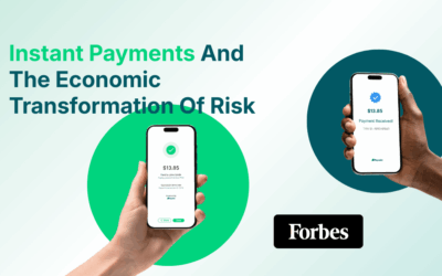 How ‘Instant Payments And The Economic Transformation Of Risk’ is Transforming the Fintech Industry